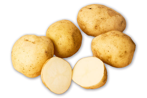 北海道産新じゃが　男爵＜計5kg＞　◆2026年9月中旬発送開始予定