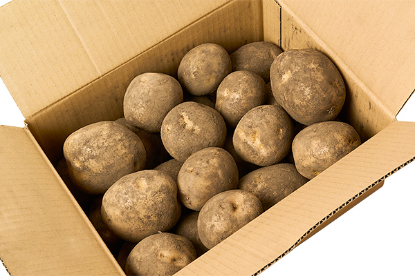 北海道産新じゃが　きたひめ＜計5kg＞　◆2026年9月中旬発送開始予定