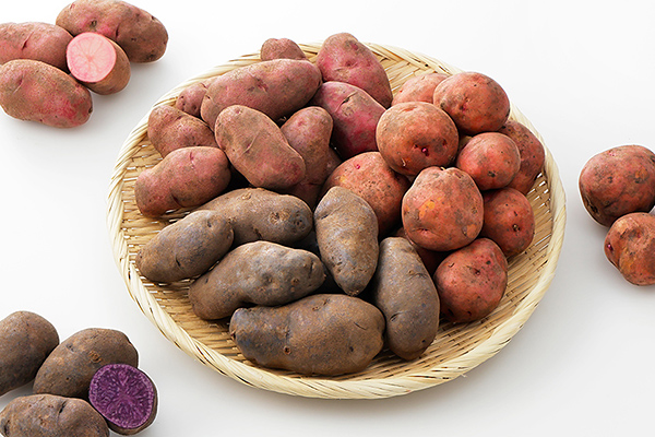 北海道産カラフルじゃがいも3種セット＜計6kg＞　◆2026年12月配送予定