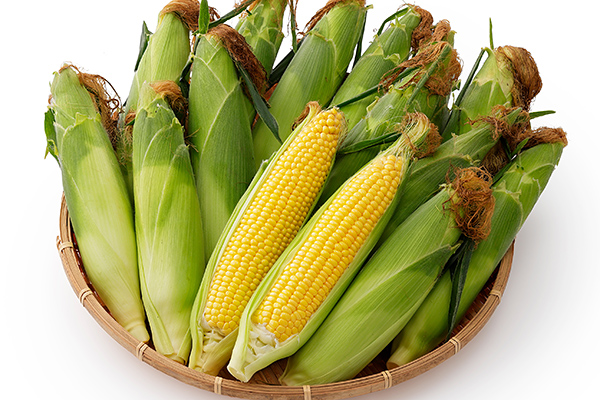 北海道産スイートコーン 恵味スター☆ Lサイズ以上（350g～）＜計15本＞　◆2026年8月中旬発送開始予定