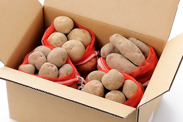 北海道産おまかせじゃがいも4種セット＜計10kg＞　2026年12月配送予定