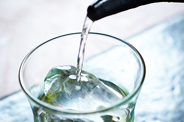 焼酎豆ほろり＜720ml×2本＞　※炭酸水＆ミネラルウォーター付