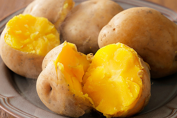 北海道産越冬インカのめざめ・メークインとごぼうセット＜計9kg＞　◆2027年02月配送