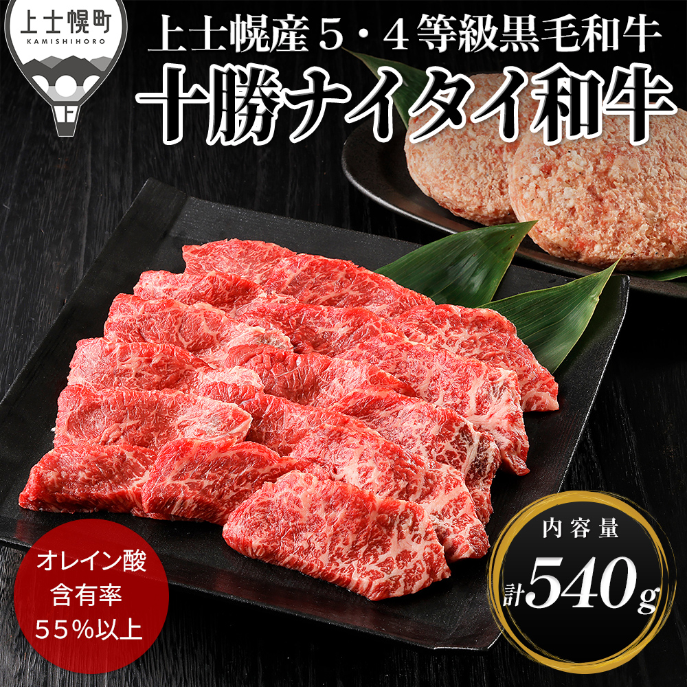 十勝ナイタイ和牛　モモ焼肉とハンバーグセット＜計540g＞