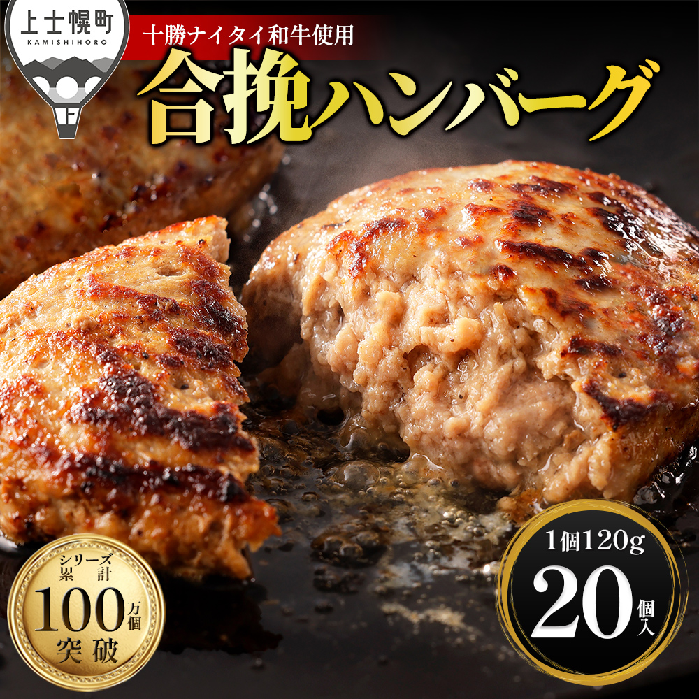 十勝ナイタイ和牛　ビーフ&ポーク　ハンバーグ＜120g×20個＞