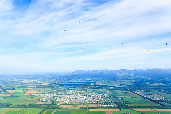 お礼の品なしのご寄付　50万円分